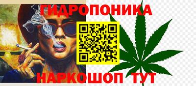шишки Усть-Джегута